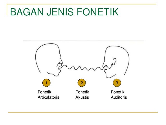 Fonetik dan Fonologi: Pengertian dan Peranannya dalam Bahasa


