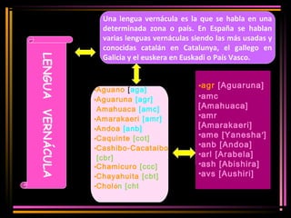 LENGUA VERNÁCULA 
Una lengua vernácula es la que se habla en una 
determinada zona o país. En España se hablan 
varias lenguas vernáculas siendo las más usadas y 
conocidas catalán en Catalunya, el gallego en 
Galicia y el euskera en Euskadi o País Vasco. 
•Aguano [aga] 
•Aguaruna [agr] 
Amahuaca [amc] 
•Amarakaeri [amr] 
•Andoa [anb] 
•Caquinte [cot] 
•Cashibo-Cacataibo 
[cbr] 
•Chamicuro [ccc] 
•Chayahuita [cbt] 
•Cholón [cht 
•agr [Aguaruna] 
•amc 
[Amahuaca] 
•amr 
[Amarakaeri] 
•ame [Yanesha’] 
•anb [Andoa] 
•arl [Arabela] 
•ash [Abishira] 
•avs [Aushiri] 
 