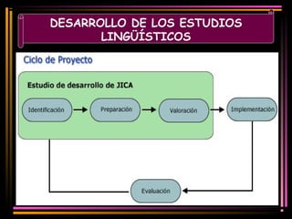 DESARROLLO DE LOS ESTUDIOS 
LINGÜÍSTICOS 
 