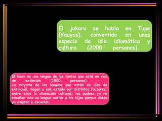 El jakaru se habla en Tupe 
(Yauyos), convertido en unas 
especie de isla idiomática y 
cultura (2000 personas). 
El kauri es una lengua de las tantas que está en vías 
de extinción (1500 personas). 
La mayoría de las lenguas que están en vías de 
extinción, llegan a ese estado por distintos factores, 
entre ellos la alienación cultural; los padres ya no 
enseñan más su lengua nativa a los hijos porque éstos 
ya asisten a escuelas. 
 