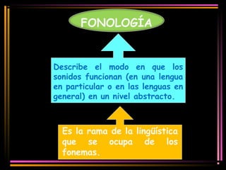 FONOLOGÍA 
Describe el modo en que los 
sonidos funcionan (en una lengua 
en particular o en las lenguas en 
general) en un nivel abstracto. 
Es la rama de la lingüística 
que se ocupa de los 
fonemas. 
 