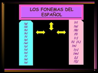LOS FONEMAS DEL 
ESPAÑOL 
/g/ 
/d/ 
/b/ 
/k/ 
/t/ 
/p/ 
/w/ 
/y/ 
/u/ 
/o/ 
/i/ 
/e/ 
/a/ 
/r/ 
/s/ 
/θ/ 
/f/ 
/ɾ/ 
/l/ /ʎ/ 
/n/ 
/ɲ/ 
/m/ 
/ʝ/ 
/ʧ/ 
 