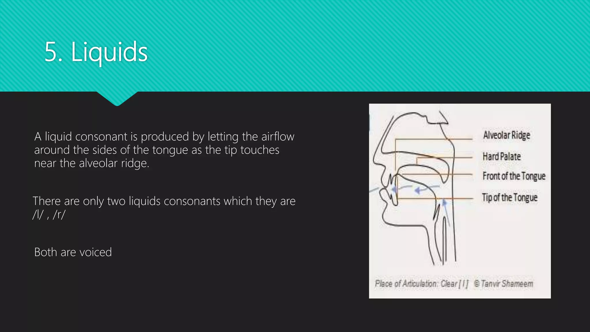introduction to Linguistics