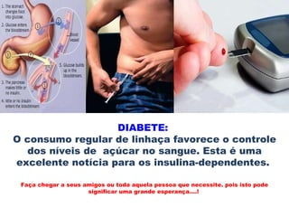 DIABETE:  O consumo regular de linhaça favorece o controle dos níveis de  açúcar no sangue. Esta é uma excelente notícia para os insulina-dependentes.  Faça chegar a seus amigos ou toda aquela pessoa que necessite. pois isto pode significar uma grande esperança....!  