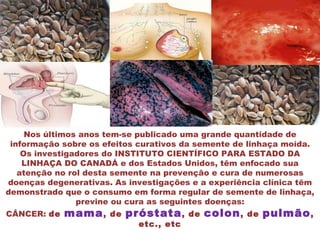 Nos últimos anos tem-se publicado uma grande quantidade de
 informação sobre os efeitos curativos da semente de linhaça moída.
    Os investigadores do INSTITUTO CIENTÍFICO PARA ESTADO DA
    LINHAÇA DO CANADÁ e dos Estados Unidos, têm enfocado sua
   atenção no rol desta semente na prevenção e cura de numerosas
doenças degenerativas. As investigações e a experiência clínica têm
demonstrado que o consumo em forma regular de semente de linhaça,
                previne ou cura as seguintes doenças:
CÂNCER: de   mama ,   de   próstata ,    de   colon ,   de   pulmão ,
                             etc., etc
 