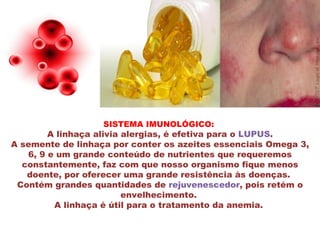 SISTEMA IMUNOLÓGICO:
        A linhaça alivia alergias, é efetiva para o LUPUS.
A semente de linhaça por conter os azeites essenciais Omega 3,
   6, 9 e um grande conteúdo de nutrientes que requeremos
  constantemente, faz com que nosso organismo fique menos
   doente, por oferecer uma grande resistência às doenças.
 Contém grandes quantidades de rejuvenescedor, pois retém o
                         envelhecimento.
         A linhaça é útil para o tratamento da anemia.
 