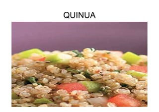 QUINUA
 