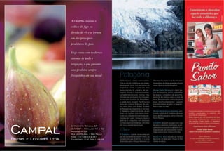 Perfeita para casais apaixonados.         Glaciares. Seu nome se deve a uma árvo-
Fica ao sul da Cordilheira dos Andes,     re espinhosa de flores amarelas e frutos
abrangendo parte dos territórios da       roxos, típica no sul da Patagônia.
Argentina e Chile. É uma das mais
belas regiões do planeta, de pai-         Glaciar Perito Moreno: é o maior gla-
sagens únicas e impressionantes,          ciar da Patagônia, com 5 quilômetros
compreendendo uma imensa área,            de largura e uma altura de aproxima-
limitada ao norte pelo Rio Colorado,      damente 60 metros sobre o nível da
ao sul pelo Estreito de Magalhães,        água. Mundialmente conhecido pelos
a oeste pelo Oceano Pacífico, e a         seus “desmoronamentos”, quando
leste pelo Oceano Atlântico. Os pon-      enormes blocos de gelo se despren-
tos mais altos dos Andes dividem          dem e caem no mar.
as Patagônias Argentina e Chilena.
A Patagônia Argentina divide-se em        Parque Nacional Los Glaciares: pró-
duas sub-regiões: a primeira consti-      ximo à cidade de El Calafate, abrange
tuída por cadeias montanhosas per-        cerca de 356 glaciares, como o famoso
meadas por vales, bosques, lagos e        Perito Moreno.
geleiras, e a segunda, com extensas
e áridas planícies litorâneas, cercadas   El Chaltén: pequeno povoado com ruas
por rica e variada fauna local.           de terra e casinhas charmosas, locali-
                                          zado próximo à província de Santa Cruz.
Onde ir:                                  Está cercado por imponentes monta-
                                          nhas, como o Cerro Torre e o Fitz Roy.
El Calafate: cidade localizada aos
pés da montanha de mesmo nome, às         Monte Fitz Roy: situado no Parque
margens do Lago Argentino. É a porta      Nacional Los Glaciares. Possui 3.405
de entrada para o Parque Nacional Los     metros de altura.
 