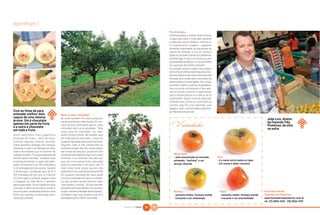 hortifrúti |
                                                                                                                    Pra lá de bom...
                                                                                                                    Histórias à parte, o melhor mesmo é levar
                                                                                                                    o caqui para casa. A fruta, além de doce
                                                                                                                    e saborosa, possui fósforo, vitamina A,
                                                                                                                    C e complexo B e licopeno – pigmento
                                                                                                                    vermelho importante na prevenção de
                                                                                                                    câncer de próstata. É rico em fibras e
                                                                                                                    ajuda no combate à anemia e problemas
                                                                                                                    de estômago. E não é só a fruta que tem
                                                                                                                    propriedades benéficas. O chá das folhas
                                                                                                                    do caquizeiro tem efeito calmante.
                                                                                                                    Ao comprar, prefira o caqui meio verde e
                                                                                                                    embrulhe em folhas de jornal para ama–
                                                                                                                    durecer. Observe bem se a fruta não está
                                                                                                                    rachada, pois nesse caso o processo de
                                                                                                                    deterioração é muito rápido. Se o caqui
                                                                                                                    já estiver maduro, guarde na geladeira,
                                                                                                                    dura cerca de uma semana e lave ape-
                                                                                                                    nas na hora de consumir. E quem pensa
                                                                                                                    que só dá para utilizá-lo in natura, vai se
                                                                                                                    surpreender. Quatro receitas especiais
                                                                                                                    mostram que a fruta vai muito bem na
                                                                                                                    cozinha, seja em uma caipirinha, uma
                                                                                                                    salada e, claro, uma tentadora sobreme-
Com as fotos dá para                                                                                                sa. Não deixe de provar!
entender melhor: dois                       Mas e o caqui chocolate?
caquis de uma mesma                         Se você também fez essa pergunta,                                                                                                                           João Luiz, diretor
árvore. Um é chocolate                      vamos esclarecer essa dúvida. Ao con-                                                                                                                       da Fazenda Três
apenas em parte da fruta
e o outro é chocolate
                                            trário do que muita gente pensa, caqui
                                            chocolate não é uma variedade. “Todo
                                                                                                                          Variedades                                                                    Pinheiros: de olho
                                                                                                                                                                                                        na safra
em toda a fruta                             caqui pode ser chocolate”, diz João,
Quem administra essa gigantesca             diretor da Boa Estrela. Na verdade, para
produção de frutas – além de caqui,         ser chamado de chocolate, o caqui de
cultivam abacate, ameixa, atemóia,          qualquer variedade precisa ter semente.
maçã, nectarina, pêssego, kiwi, laranja e   Segundo João, é até complicado de
mexerica, é João Luiz Marques da Silva,     entender porque não tem muita lógica,
diretor da empresa, que é sinônimo de       são coisas da natureza, já que em uma
tradição no setor. “É a quarta geração da   mesma árvore pode ter caqui com e sem                                       Rama forte
família nesse mercado.” Somente para        semente. E a confusão não pára por                                          • mais encontrado no mercado              Fuyu
a estrela da estação, o caqui, são desti-   aqui: em uma mesma fruta, uma parte                                         achatado, “molinho” e cor                 • é o maior entre todos os tipos
nados 110 hectares, com 40 mil árvores e    pode ter sementes e em outra, não. O                                        laranja vibrante                          • cor suave e sabor crocante
5 mil toneladas da fruta ao ano. Durante    mais importante nesse assunto tão
a temporada, a produção gera de 15 a        específico é que a presença de semente
100 toneladas por dia, que, no máximo       em qualquer variedade de caqui ajuda
24 horas após a colheita, seguem para       a fruta na liberação de tanino, substân-
o Ceagesp, em São Paulo, e também           cia que confere aquele famoso sabor
para exportação, muito freqüente para       “que amarra” na boca. “Os que não têm
a Europa. A safra vai de março a julho e    sementes são submetidos a um proces-
prioriza quatro variedades da fruta: rama   so pós-colheita chamado destanização”,                                      Giombo                                      Kyoto                             Fruta Boa Estrela
forte, fuyu, goimbo e kyoto (veja carac-    completa João, que certifica que só a                                       • tamanho médio, formato ovóide             • tamanho médio, formato ovóide   Fazenda Três Pinheiros
terísticas no boxe).                        variedade kyoto é 100% chocolate.                                           • Crocante e cor amarelada                  • crocante e cor avermelhada      www.fazendatrespinheiros.com.br
                                                                                                                                                                                                      tel. (11) 3834-1234 - (15) 3534-7207

                                                                                       NATURAL DA TERRA   16   17
 