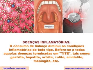 DOENÇAS INFLAMATÓRIAS:  O consumo de linhaça diminui as condições inflamatórias de todo tipo. Refere-se a todas aquelas doenças terminadas em "TITE", tais como: gastrite, hepatite, artrite, colite, amidalite, meningite, etc.  CALDEIRÃO DE NOVIDADES [email_address] 