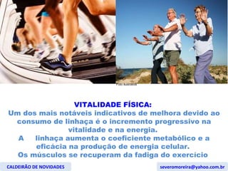 VITALIDADE FÍSICA:  Um dos mais notáveis indicativos de melhora devido ao consumo de linhaça é o incremento progressivo na vitalidade e na energia.  A  linhaça aumenta o coeficiente metabólico e a eficácia na produção de energia celular.  Os músculos se recuperam da fadiga do exercício  CALDEIRÃO DE NOVIDADES [email_address] Foto ilustrativa 