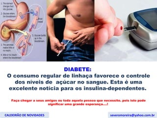 DIABETE:  O consumo regular de linhaça favorece o controle dos níveis de  açúcar no sangue. Esta é uma excelente notícia para os insulina-dependentes.  Faça chegar a seus amigos ou toda aquela pessoa que necessite. pois isto pode significar uma grande esperança....!  CALDEIRÃO DE NOVIDADES [email_address] 