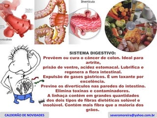 CALDEIRÃO DE NOVIDADES [email_address] SISTEMA DIGESTIVO:  Prevêem ou cura o câncer de colon. Ideal para artrite, prisão de ventre, acidez estomacal. Lubrifica e regenera a flora intestinal. Expulsão de gases gástricos. É um laxante por excelência.  Previne os divertículos nas paredes do intestino. Elimina toxinas e contaminadores.  A linhaça contém em grandes quantidades dos dois tipos de fibras dietéticas solúvel e insolúvel. Contém mais fibra que a maioria dos grãos.  