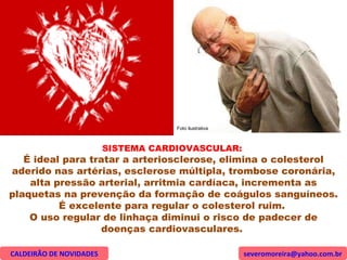 SISTEMA CARDIOVASCULAR:  É ideal para tratar a arteriosclerose, elimina o colesterol aderido nas artérias, esclerose múltipla, trombose coronária, alta pressão arterial, arritmia cardíaca, incrementa as plaquetas na prevenção da formação de coágulos sanguíneos.  É excelente para regular o colesterol ruim.  O uso regular de linhaça diminui o risco de padecer de doenças cardiovasculares.  CALDEIRÃO DE NOVIDADES [email_address] Foto ilustrativa 