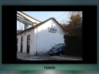TANHA
 
