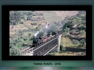 TANHA PONTE - 1976
 