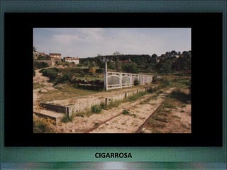 CIGARROSA
 