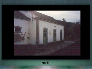 ZIMÃO
 