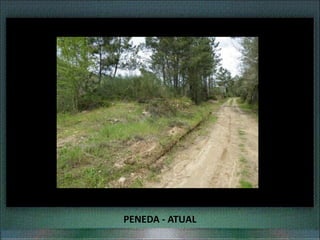 PENEDA - ATUAL
 