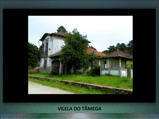 VILELA DO TÂMEGA
 