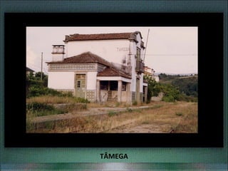 TÂMEGA
 