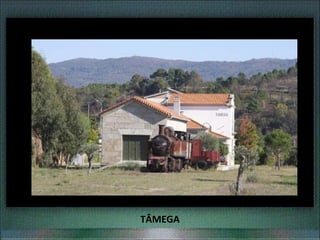 TÂMEGA
 