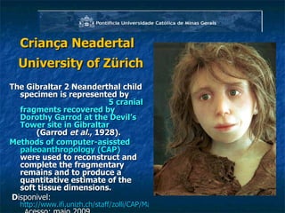Criança Neadertal  University of Zürich The Gibraltar 2 Neanderthal child specimen is represented by  5 cranial fragments recovered by Dorothy Garrod at the Devil’s Tower site in Gibraltar  (Garrod  et al. , 1928). Methods of computer-asissted  paleoanthropology (CAP)  were used to reconstruct and complete the fragmentary remains and to produce a quantitative estimate of the soft tissue dimensions.   D isponivel:  http://www.ifi.unizh.ch/staff/zolli/CAP/Main_face.htm  . A cesso: maio 2009. 