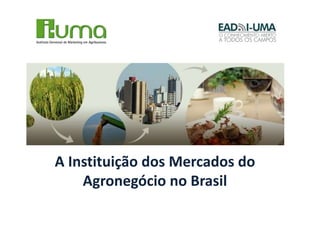 A Instituição dos Mercados do
    Agronegócio no Brasil
 