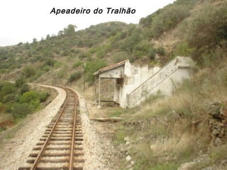 Apeadeiro do Tralhão
 