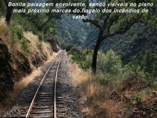 Bonita paisagem envolvente, sendo visíveis no plano
mais próximo marcas do flagelo dos incêndios de
verão.
 