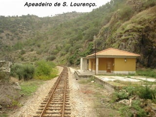 Apeadeiro de S. Lourenço.
 