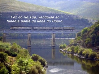 Foz do rio Tua, vendo-se ao
fundo a ponte da linha do Douro.
 