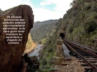 Os espaços
envolventes das
estações estavam
caprichosamente
ajardinadas, onde
dava gosto estar
enquanto se
aguardava a
chegado do
combóio.
 