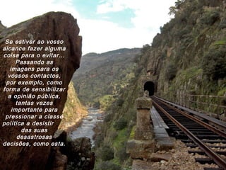 Se estiver ao vosso
alcance fazer alguma
coisa para o evitar…
Passando as
imagens para os
vossos contactos,
por exemplo, como
forma de sensibilizar
a opinião pública,
tantas vezes
importante para
pressionar a classe
política a desistir
das suas
desastrosas
decisões, como esta.
 