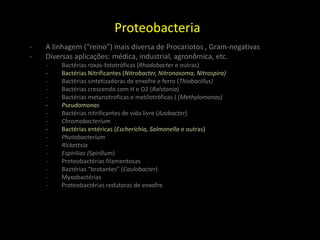 Proteobacteria
- A linhagem (“reino”) mais diversa de Procariotos , Gram-negativas
- Diversas aplicações: médica, industrial, agronômica, etc.
- Bactérias roxas-fototróficas (Rhodobacter e outras)
- Bactérias Nitrificantes (Nitrobacter, Nitronosoma, Nitrospira)
- Bactérias sintetizadoras de enxofre e ferro (Thiobacillus)
- Bactérias crescendo com H e O2 (Ralstonia)
- Bactérias metanotroficas e metilotróficas ( (Methylomonas)
- Pseudomonas
- Bactérias nitrificantes de vida livre (Azobacter)
- Chromobacterium
- Bactérias entéricas (Escherichia, Salmonella e outras)
- Photobacterium
- Rickettsia
- Espirilias (Spirillum)
- Proteobactérias filamentosas
- Bactérias “brotantes” (Caulobacter)
- Myxobactérias
- Proteobactérias redutoras de enxofre
 