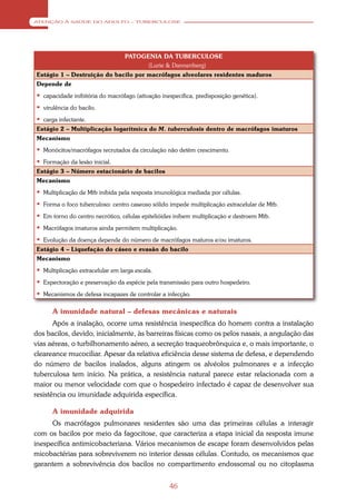 ATENÇÃO À SAÚDE DO ADULTO – TUBERCULOSE




                                  PATOGENIA DA TUBERCULOSE
                                       (Lurie & Dannenberg)
Estágio 1 – Destruição do bacilo por macrófagos alveolares residentes maduros
Depende de
 capacidade inibitória do macrófago (ativação inespecífica, predisposição genética).
 virulência do bacilo.
 carga infectante.
Estágio 2 – Multiplicação logarítmica do M. tuberculosis dentro de macrófagos imaturos
Mecanismo
 Monócitos/macrófagos recrutados da circulação não detêm crescimento.
 Formação da lesão inicial.
Estágio 3 – Número estacionário de bacilos
Mecanismo
 Multiplicação de Mtb inibida pela resposta imunológica mediada por células.
 Forma o foco tuberculoso: centro caseoso sólido impede multiplicação extracelular de Mtb.
 Em torno do centro necrótico, células epitelióides inibem multiplicação e destroem Mtb.
 Macrófagos imaturos ainda permitem multiplicação.
 Evolução da doença depende do número de macrófagos maturos e/ou imaturos.
Estágio 4 – Liquefação do cáseo e evasão do bacilo
Mecanismo
 Multiplicação extracelular em larga escala.
 Expectoração e preservação da espécie pela transmissão para outro hospedeiro.
 Mecanismos de defesa incapazes de controlar a infecção.

      A imunidade natural – defesas mecânicas e naturais
       Após a inalação, ocorre uma resistência inespecífica do homem contra a instalação
dos bacilos, devido, inicialmente, às barreiras físicas como os pelos nasais, a angulação das
vias aéreas, o turbilhonamento aéreo, a secreção traqueobrônquica e, o mais importante, o
cleareance mucociliar. Apesar da relativa eficiência desse sistema de defesa, e dependendo
do número de bacilos inalados, alguns atingem os alvéolos pulmonares e a infecção
tuberculosa tem início. Na prática, a resistência natural parece estar relacionada com a
maior ou menor velocidade com que o hospedeiro infectado é capaz de desenvolver sua
resistência ou imunidade adquirida específica.

      A imunidade adquirida
      Os macrófagos pulmonares residentes são uma das primeiras células a interagir
com os bacilos por meio da fagocitose, que caracteriza a etapa inicial da resposta imune
inespecífica antimicobacteriana. Vários mecanismos de escape foram desenvolvidos pelas
micobactérias para sobreviverem no interior dessas células. Contudo, os mecanismos que
garantem a sobrevivência dos bacilos no compartimento endossomal ou no citoplasma


                                                   46
 