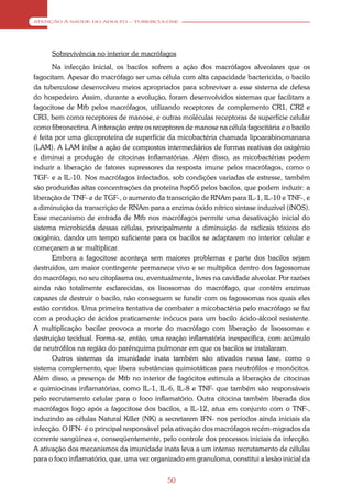 ATENÇÃO À SAÚDE DO ADULTO – TUBERCULOSE




      Sobrevivência no interior de macrófagos
       Na infecção inicial, os bacilos sofrem a ação dos macrófagos alveolares que os
fagocitam. Apesar do macrófago ser uma célula com alta capacidade bactericida, o bacilo
da tuberculose desenvolveu meios apropriados para sobreviver a esse sistema de defesa
do hospedeiro. Assim, durante a evolução, foram desenvolvidos sistemas que facilitam a
fagocitose de Mtb pelos macrófagos, utilizando receptores de complemento CR1, CR2 e
CR3, bem como receptores de manose, e outras moléculas receptoras de superfície celular
como fibronectina. A interação entre os receptores de manose na célula fagocitária e o bacilo
é feita por uma glicoproteína de superfície da micobactéria chamada lipoarabinomanana
(LAM). A LAM inibe a ação de compostos intermediários de formas reativas do oxigênio
e diminui a produção de citocinas inflamatórias. Além disso, as micobactérias podem
induzir a liberação de fatores supressores da resposta imune pelos macrófagos, como o
TGF- e a IL-10. Nos macrófagos infectados, sob condições variadas de estresse, também
são produzidas altas concentrações da proteína hsp65 pelos bacilos, que podem induzir: a
liberação de TNF- e de TGF-, o aumento da transcrição de RNAm para IL-1, IL-10 e TNF-, e
a diminuição da transcrição de RNAm para a enzima óxido nítrico sintase induzível (iNOS).
Esse mecanismo de entrada de Mtb nos macrófagos permite uma desativação inicial do
sistema microbicida dessas células, principalmente a diminuição de radicais tóxicos do
oxigênio, dando um tempo suficiente para os bacilos se adaptarem no interior celular e
começarem a se multiplicar.
       Embora a fagocitose aconteça sem maiores problemas e parte dos bacilos sejam
destruídos, um maior contingente permanece vivo e se multiplica dentro dos fagossomas
do macrófago, no seu citoplasma ou, eventualmente, livres na cavidade alveolar. Por razões
ainda não totalmente esclarecidas, os lisossomas do macrófago, que contêm enzimas
capazes de destruir o bacilo, não conseguem se fundir com os fagossomas nos quais eles
estão contidos. Uma primeira tentativa de combater a micobactéria pelo macrófago se faz
com a produção de ácidos praticamente inócuos para um bacilo ácido-álcool resistente.
A multiplicação bacilar provoca a morte do macrófago com liberação de lisossomas e
destruição tecidual. Forma-se, então, uma reação inflamatória inespecífica, com acúmulo
de neutrófilos na região do parênquima pulmonar em que os bacilos se instalaram.
       Outros sistemas da imunidade inata também são ativados nessa fase, como o
sistema complemento, que libera substâncias quimiotáticas para neutrófilos e monócitos.
Além disso, a presença de Mtb no interior de fagócitos estimula a liberação de citocinas
e quimiocinas inflamatórias, como IL-1, IL-6, IL-8 e TNF- que também são responsáveis
pelo recrutamento celular para o foco inflamatório. Outra citocina também liberada dos
macrófagos logo após a fagocitose dos bacilos, a IL-12, atua em conjunto com o TNF-,
induzindo as células Natural Killer (NK) a secretarem IFN- nos períodos ainda iniciais da
infecção. O IFN- é o principal responsável pela ativação dos macrófagos recém-migrados da
corrente sangüínea e, conseqüentemente, pelo controle dos processos iniciais da infecção.
A ativação dos mecanismos da imunidade inata leva a um intenso recrutamento de células
para o foco inflamatório, que, uma vez organizado em granuloma, constitui a lesão inicial da


                                             50
 
