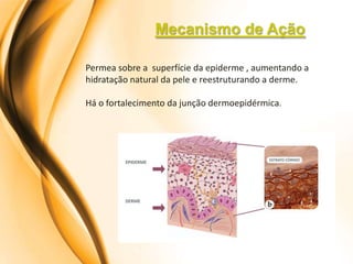 Mecanismo de Ação

Permea sobre a superfície da epiderme , aumentando a
hidratação natural da pele e reestruturando a derme.

Há o fortalecimento da junção dermoepidérmica.
 