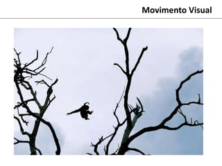 Movimento Visual
 