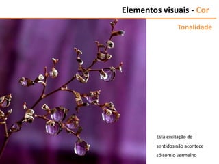 Elementos visuais - Cor
Tonalidade
Esta excitação de
sentidos não acontece
só com o vermelho
 