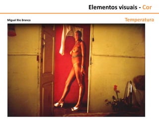 Elementos visuais - Cor
TemperaturaMiguel Rio Branco
 