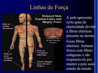 Linhas de Força de Langers.pptx