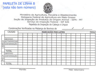 PAPELETA DE LINHA B
(esta não tem número)
 