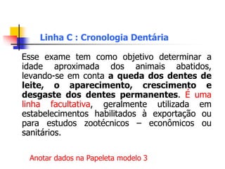 Linha C : Cronologia Dentária
Esse exame tem como objetivo determinar a
idade aproximada dos animais abatidos,
levando-se em conta a queda dos dentes de
leite, o aparecimento, crescimento e
desgaste dos dentes permanentes. É uma
linha facultativa, geralmente utilizada em
estabelecimentos habilitados à exportação ou
para estudos zootécnicos – econômicos ou
sanitários.
Anotar dados na Papeleta modelo 3
 