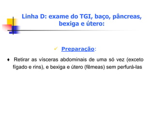  Preparação:
♦ Retirar as vísceras abdominais de uma só vez (exceto
fígado e rins), e bexiga e útero (fêmeas) sem perfurá-las
Linha D: exame do TGI, baço, pâncreas,
bexiga e útero:
 