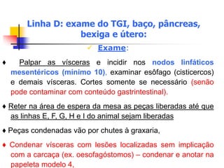  Exame:
♦ Palpar as vísceras e incidir nos nodos linfáticos
mesentéricos (mínimo 10), examinar esôfago (cisticercos)
e demais vísceras. Cortes somente se necessário (senão
pode contaminar com conteúdo gastrintestinal).
♦ Reter na área de espera da mesa as peças liberadas até que
as linhas E, F, G, H e I do animal sejam liberadas
♦ Peças condenadas vão por chutes à graxaria,
♦ Condenar vísceras com lesões localizadas sem implicação
com a carcaça (ex. oesofagóstomos) – condenar e anotar na
papeleta modelo 4,
Linha D: exame do TGI, baço, pâncreas,
bexiga e útero:
 