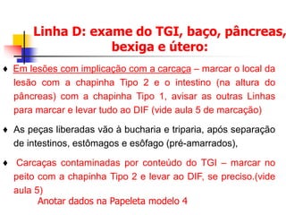♦ Em lesões com implicação com a carcaça – marcar o local da
lesão com a chapinha Tipo 2 e o intestino (na altura do
pâncreas) com a chapinha Tipo 1, avisar as outras Linhas
para marcar e levar tudo ao DIF (vide aula 5 de marcação)
♦ As peças liberadas vão à bucharia e triparia, após separação
de intestinos, estômagos e esôfago (pré-amarrados),
♦ Carcaças contaminadas por conteúdo do TGI – marcar no
peito com a chapinha Tipo 2 e levar ao DIF, se preciso.(vide
aula 5)
Linha D: exame do TGI, baço, pâncreas,
bexiga e útero:
Anotar dados na Papeleta modelo 4
 