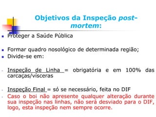 Objetivos da Inspeção post-
mortem:
 Proteger a Saúde Pública
 Formar quadro nosológico de determinada região;
 Divide-se em:
- Inspeção de Linha = obrigatória e em 100% das
carcaças/vísceras
- Inspeção Final = só se necessário, feita no DIF
- Caso o boi não apresente qualquer alteração durante
sua inspeção nas linhas, não será desviado para o DIF,
logo, esta inspeção nem sempre ocorre.
 