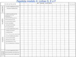 Papeleta modelo 4: Linhas D, E e F
 