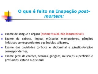 O que é feito na Inspeção post-
mortem:
 Exame de sangue e órgãos (exame visual, não laboratorial!)
 Exame da cabeça, língua, músculos mastigadores, gânglios
linfáticos correspondentes e glândulas salivares,
 Exame das cavidades torácica e abdominal e gânglios/órgãos
correspondentes,
 Exame geral da carcaça, serosas, gânglios, músculos superficiais e
profundos, estado nutricional
 